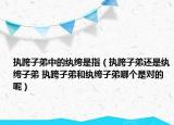 執(zhí)跨子弟中的紈绔是指（執(zhí)跨子弟還是紈绔子弟 執(zhí)跨子弟和紈绔子弟哪個(gè)是對(duì)的呢）