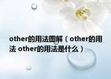 other的用法圖解（other的用法 other的用法是什么）