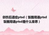 創(chuàng)傷后遺癥ptsd（飯圈用語ptsd 飯圈用語ptsd是什么意思）