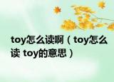 toy怎么讀?。╰oy怎么讀 toy的意思）