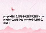 purple是什么意思中文翻譯文翻譯（purple是什么意思中文 purple中文是什么意思）