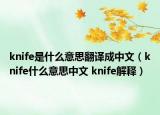 knife是什么意思翻譯成中文（knife什么意思中文 knife解釋）