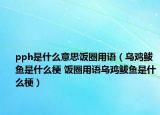 pph是什么意思飯圈用語（烏雞鲅魚是什么梗 飯圈用語烏雞鲅魚是什么梗）