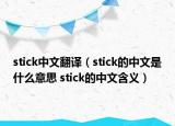 stick中文翻譯（stick的中文是什么意思 stick的中文含義）