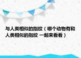 與人類相似的指紋（哪個動物有和人類相似的指紋 一起來看看）