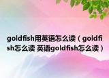 goldfish用英語怎么讀（goldfish怎么讀 英語goldfish怎么讀）