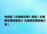 電視劇《夫妻那些事》劇情（夫妻那些事劇情簡介 夫妻那些事劇情介紹）