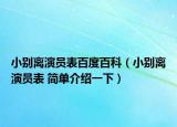 小別離演員表百度百科（小別離演員表 簡單介紹一下）