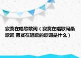 寂寞在唱歌歌詞（寂寞在唱歌阿桑歌詞 寂寞在唱歌的歌詞是什么）