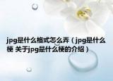 jpg是什么格式怎么弄（jpg是什么梗 關于jpg是什么梗的介紹）