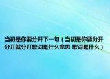 當初是你要分開下一句（當初是你要分開分開就分開歌詞是什么意思 歌詞是什么）