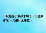 一尺是等于多少米?。ㄒ怀呤嵌嗌倜?一尺是什么單位）