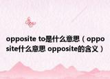 opposite to是什么意思（opposite什么意思 opposite的含義）