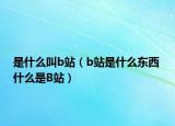 是什么叫b站（b站是什么東西 什么是B站）