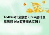 484biss什么意思（biss是什么意思啊 biss有多重含義嗎）