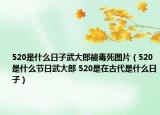 520是什么日子武大郎被毒死圖片（520是什么節(jié)日武大郎 520是在古代是什么日子）