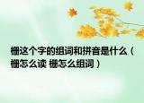 柵這個字的組詞和拼音是什么（柵怎么讀 柵怎么組詞）