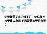 夢里領養(yǎng)了孩子好不好（夢見領養(yǎng)孩子什么意思 夢見領養(yǎng)孩子的意思）