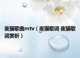 夜貓歌曲mtv（夜貓歌詞 夜貓歌詞賞析）