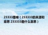 23333是啥（233333的來(lái)源和意思 233333是什么意思）