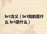 brt含義（brt指的是什么 brt是什么）