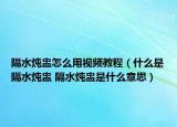 隔水燉盅怎么用視頻教程（什么是隔水燉盅 隔水燉盅是什么意思）