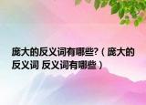 龐大的反義詞有哪些?（龐大的反義詞 反義詞有哪些）