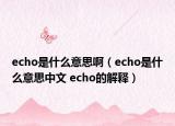 echo是什么意思?。╡cho是什么意思中文 echo的解釋）