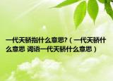 一代天驕指什么意思?（一代天驕?zhǔn)裁匆馑?詞語一代天驕?zhǔn)裁匆馑迹? /></span></a>
                        <h2><a href=