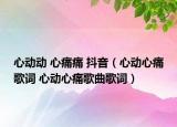 心動動 心痛痛 抖音（心動心痛歌詞 心動心痛歌曲歌詞）