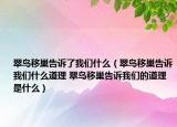 翠鳥移巢告訴了我們什么（翠鳥移巢告訴我們什么道理 翠鳥移巢告訴我們的道理是什么）