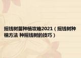 搖錢樹苗種植攻略2021（搖錢樹種植方法 種搖錢樹的技巧）