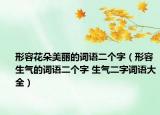 形容花朵美麗的詞語二個字（形容生氣的詞語二個字 生氣二字詞語大全）