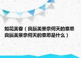 如花美眷（良辰美景奈何天的意思 良辰美景奈何天的意思是什么）