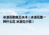 冰凌花歌曲王冰洋（冰凌花是一種什么花 冰凌花介紹）