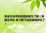 安全文化評價的目的是為了解（海賊王評價 來了解下這些客觀評價了）