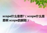 scope什么意思?（scope什么意思啊 scope的解釋）