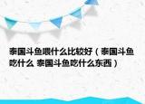 泰國(guó)斗魚(yú)喂什么比較好（泰國(guó)斗魚(yú)吃什么 泰國(guó)斗魚(yú)吃什么東西）