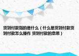 貨到付款指的是什么（什么是貨到付款貨到付款怎么操作 貨到付款的意思）