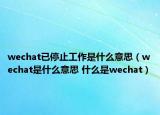 wechat已停止工作是什么意思（wechat是什么意思 什么是wechat）