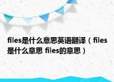 files是什么意思英語翻譯（files是什么意思 files的意思）