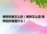 喰種拼音怎么拼（喰種怎么讀 喰種的拼音是什么）