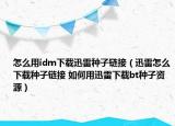 怎么用idm下載迅雷種子鏈接（迅雷怎么下載種子鏈接 如何用迅雷下載bt種子資源）