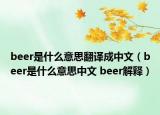 beer是什么意思翻譯成中文（beer是什么意思中文 beer解釋?zhuān)? /></span></a>
                        <h2><a  title=