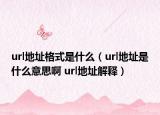 url地址格式是什么（url地址是什么意思啊 url地址解釋）