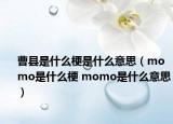 曹縣是什么梗是什么意思（momo是什么梗 momo是什么意思）