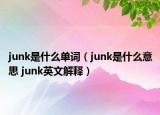 junk是什么單詞（junk是什么意思 junk英文解釋）