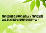 花枝招展的意思解釋是什么（花枝招展什么意思 成語(yǔ)花枝招展的意思是什么）