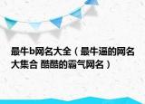 最牛b網(wǎng)名大全（最牛逼的網(wǎng)名大集合 酷酷的霸氣網(wǎng)名）