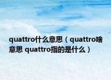 quattro什么意思（quattro啥意思 quattro指的是什么）